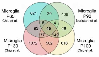 Microglia Responses in Acute and Chronic Neurological Diseases: What Microglia-Specific Transcriptomic Studies Taught (and did Not Teach) Us